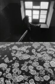 Wanderers of White Time Online In Netflix