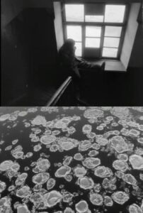 Wanderers of White Time Online In Netflix