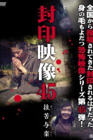 Sealed Video 45: Bakkuyoraku Online In Netflix