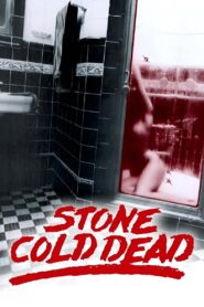 Stone Cold Dead Online In Netflix