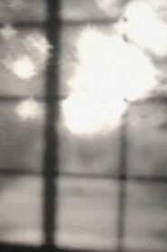 Reflection Online In Netflix