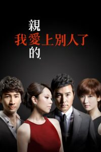 A Good Wife: Temporada 1 {year} one on netflix