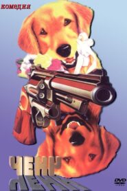 Chench Online In Netflix