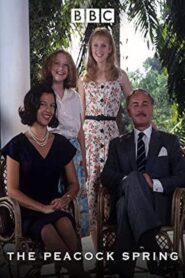 The Peacock Spring Online In Netflix