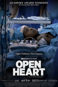 Open Heart Online In Netflix