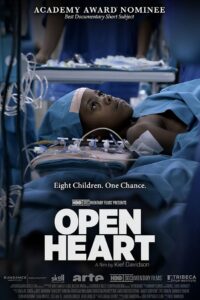 Open Heart Online In Netflix