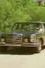 Pig! Online In Netflix