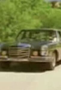 Pig! Online In Netflix