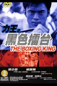 The Boxing King Online In Netflix