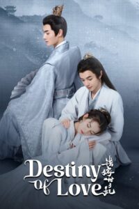 Destiny of Love 2025 one on netflix