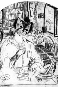 A Cat and a Half Online In Netflix