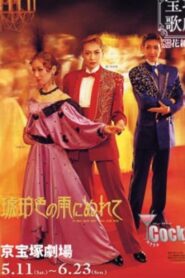 In the Amber-Hued Rain Online In Netflix