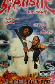 Statistic Online In Netflix