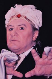 Le Magicien et les Siamois Online In Netflix