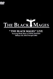 The Black Mages Live Online In Netflix