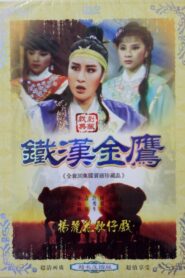 鐵漢金鷹 1981 one on netflix