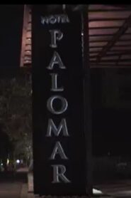 FlashBulb Alley Online In Netflix