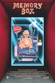 Memory Box Online In Netflix