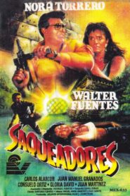 Saqueadores Online In Netflix