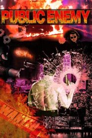 Public Enemy Online In Netflix