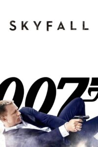 Skyfall Online In Netflix