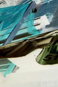 Natural Collage Online In Netflix