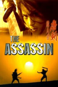 The Assassin Online In Netflix
