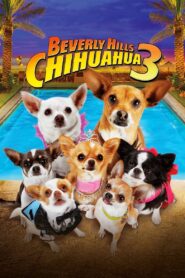 Beverly Hills Chihuahua 3: Viva la Fiesta! Online In Netflix