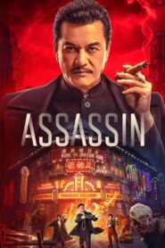 Assassin Online In Netflix