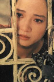 A Love Trap Online In Netflix