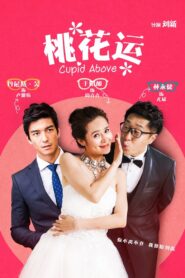 桃花运 2015 one on netflix