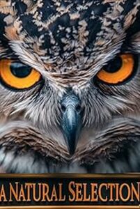 A Natural Selection Online In Netflix