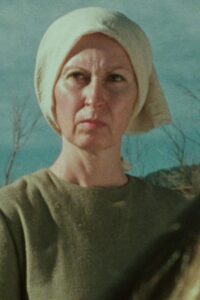 Hinterland Online In Netflix