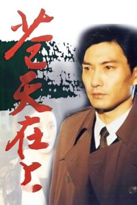 苍天在上 1995 one on netflix