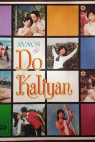 Do Kaliyan Online In Netflix