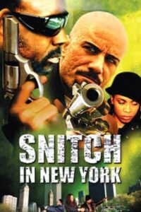 Snitch in New York Online In Netflix