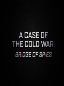 A Case of the Cold War: Bridge of Spies Online In Netflix