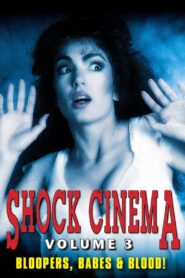 Shock Cinema: Volume Three Online In Netflix