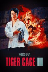 Tiger Cage III Online In Netflix