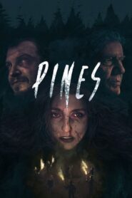 Pines Online In Netflix
