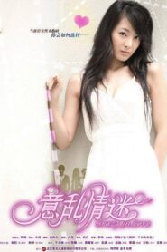 Crazy in Love Online In Netflix