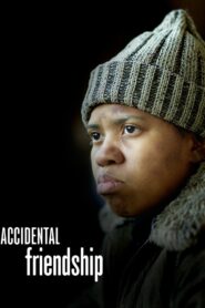 Accidental Friendship Online In Netflix