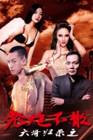 大哥归来之老炮不散 Online In Netflix