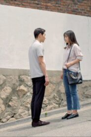 Spring in Summer Online In Netflix