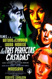 The Three Perfect Married Online In Netflix