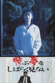 A Paucity of Flying Dreams Online In Netflix