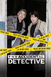 The Accidental Detective Online In Netflix