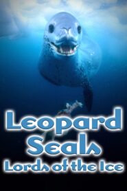 Leopard Seals: Lords of the Ice Online In Netflix