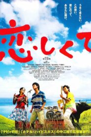 Koishikute Online In Netflix