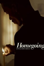 Homegoing Online In Netflix